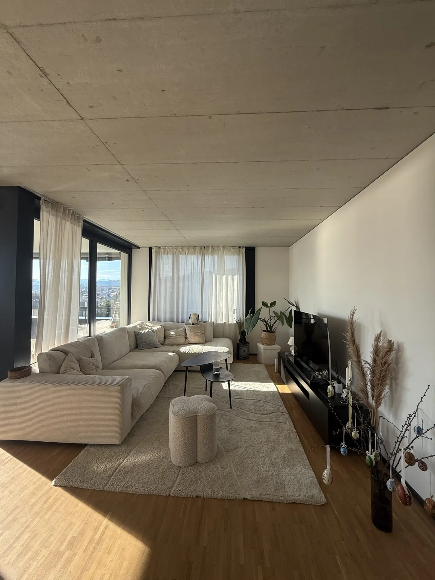 APPARTEMENT 3½ PIÈCES À OBERRIEDEN (ZH), MEUBLÉ, TEMPORAIRE - Photo 2 sur 10