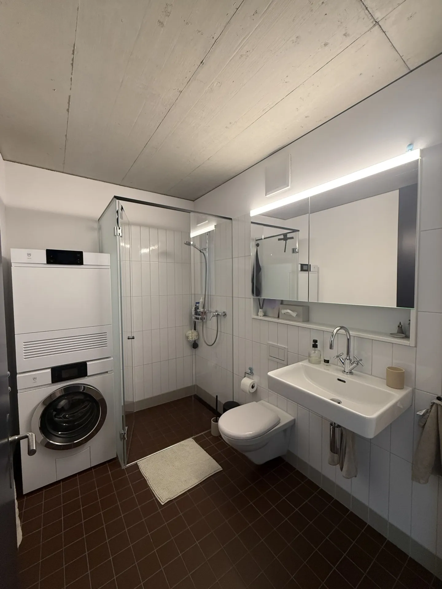 APPARTEMENT 3½ PIÈCES À OBERRIEDEN (ZH), MEUBLÉ, TEMPORAIRE - Photo 7 sur 10