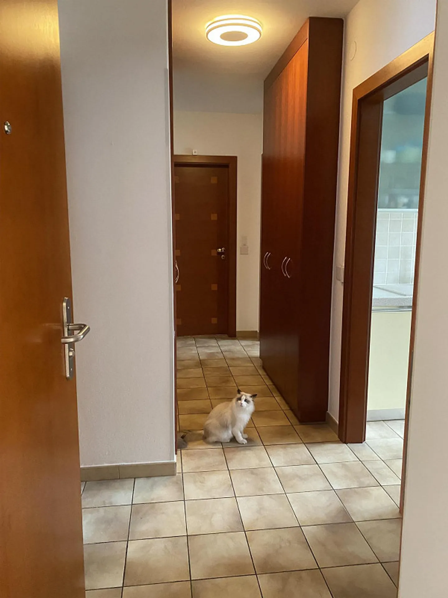 Coldrerio appartamento 3,5 locali - Foto 6 di 15