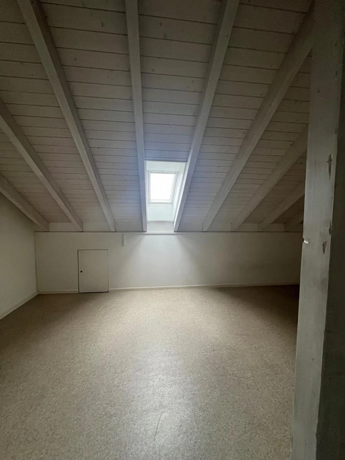 Ampio spazio hobby a Basilea - Foto 1 di 4