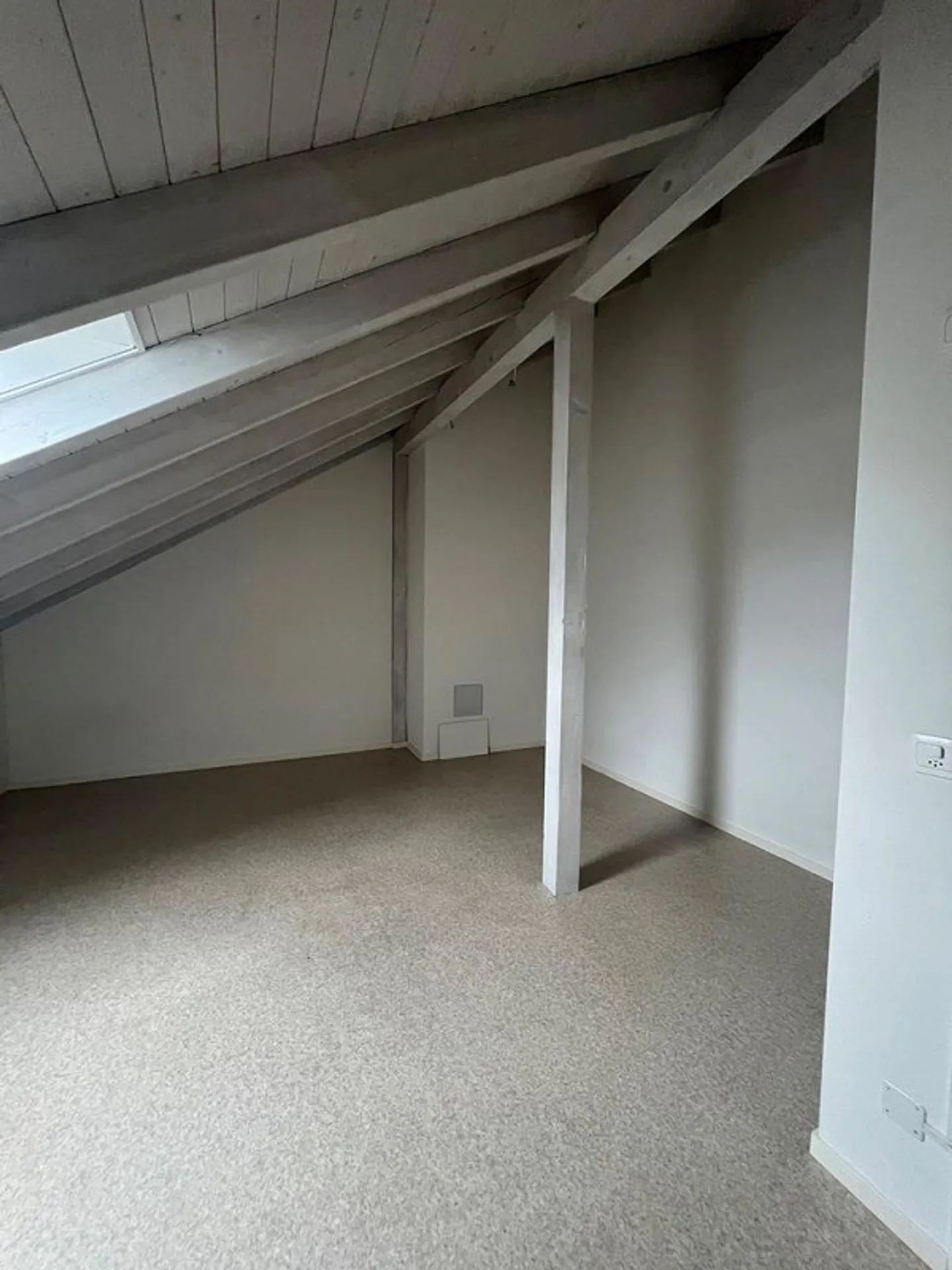 Ampio spazio hobby a Basilea - Foto 2 di 4