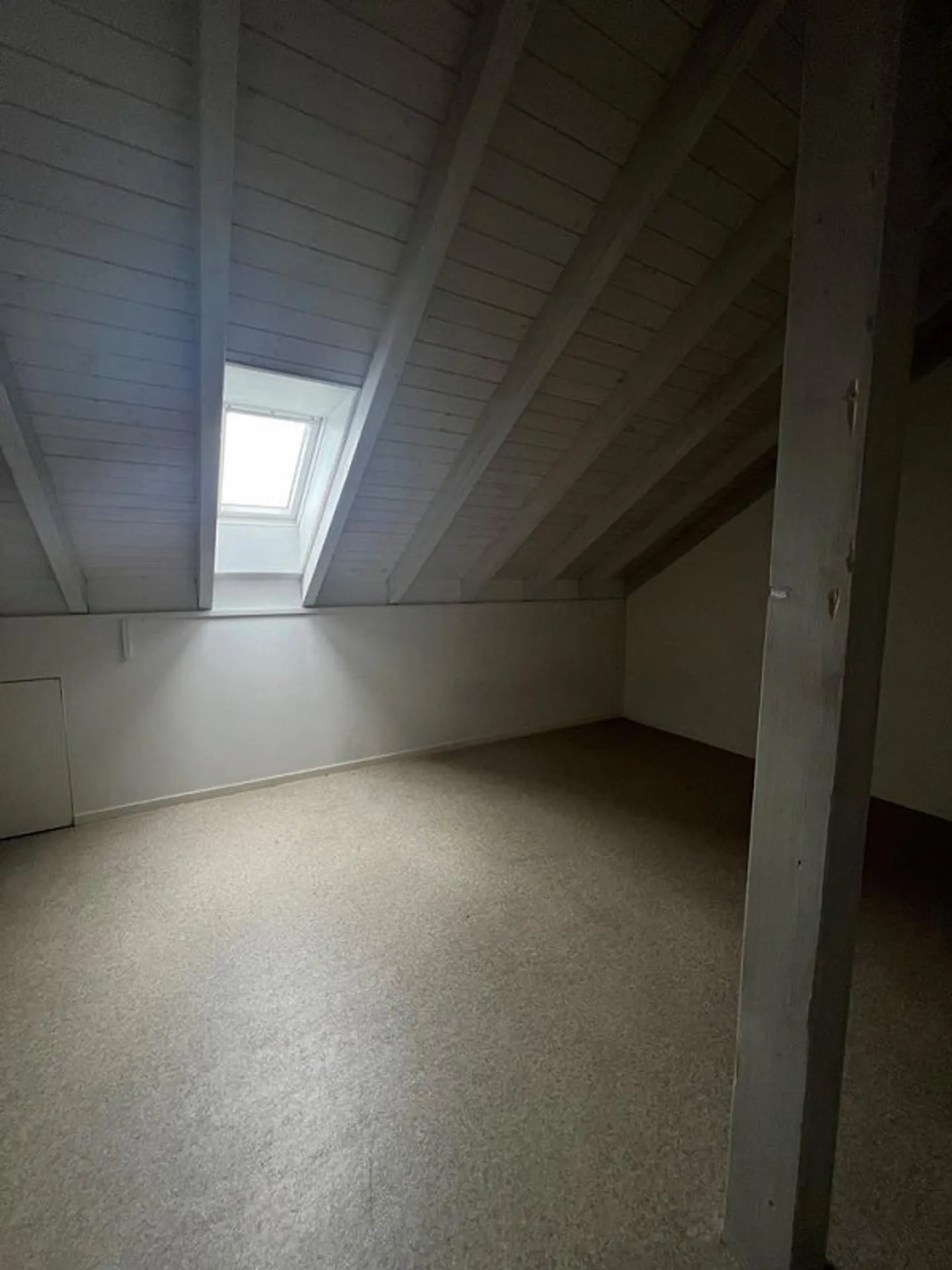 Ampio spazio hobby a Basilea - Foto 3 di 4