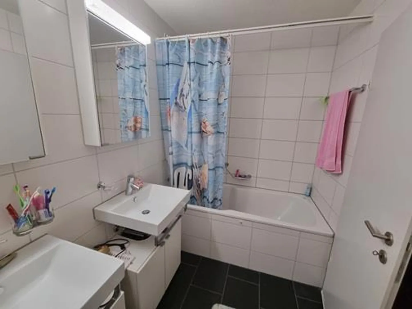 Appartamento di 4,5 stanze con 2 balconi e vista lago a Wädenswil - Foto 5 di 6