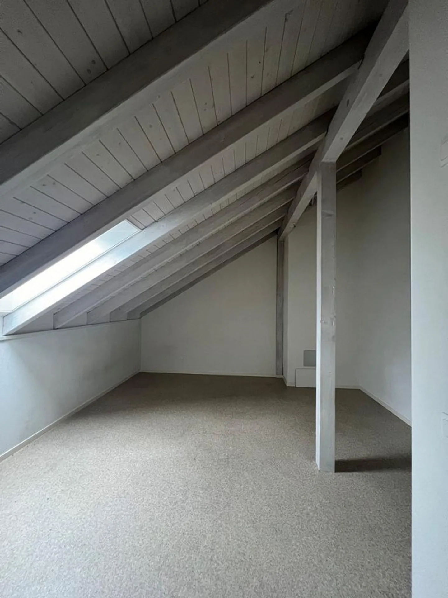 Ampio spazio hobby a Basilea - Foto 4 di 4