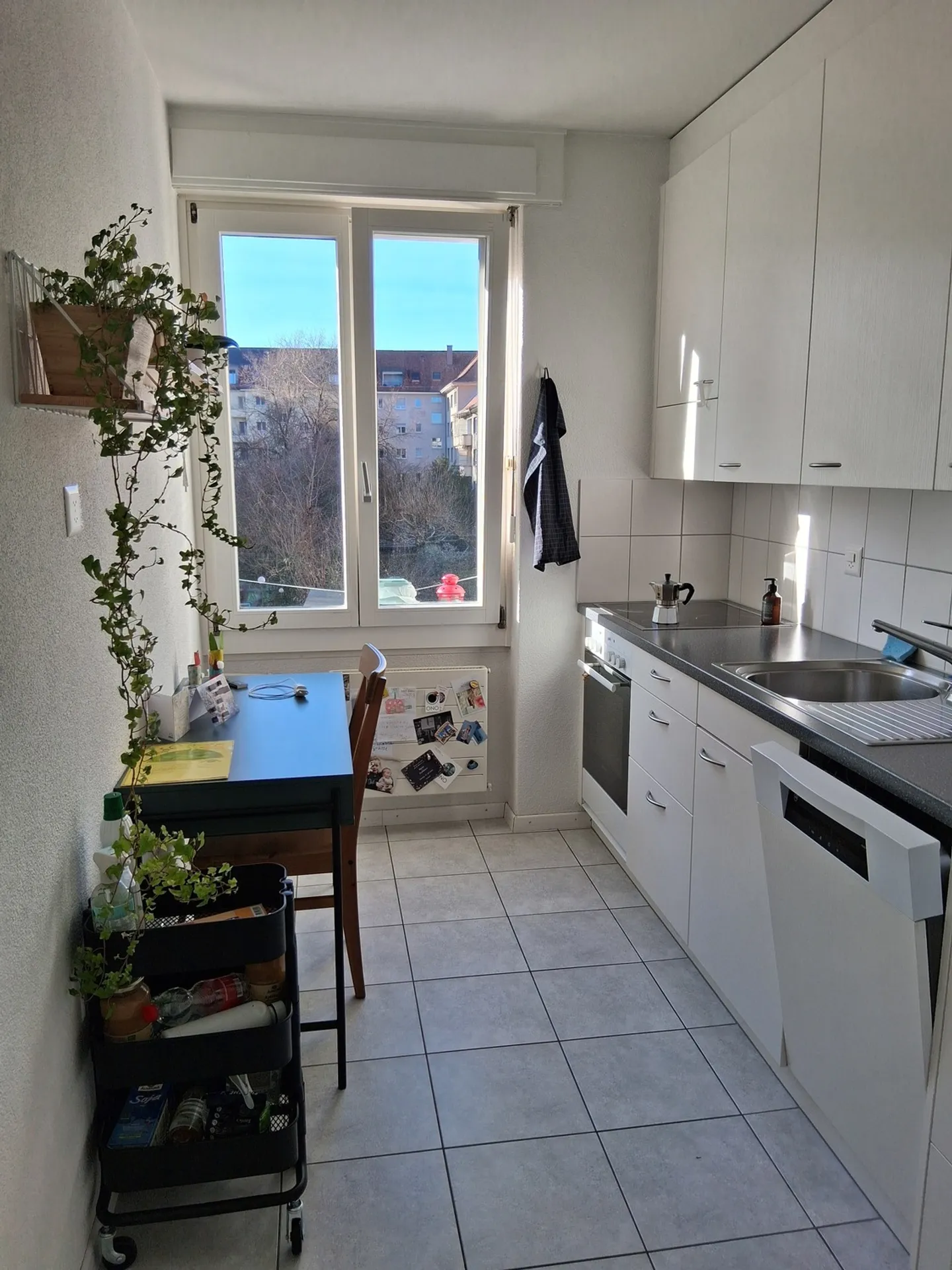 APPARTAMENTO 3 LOCALI A BERN - BREITENRAIN, ARREDATO, TEMPORANEO - Foto 5 di 10