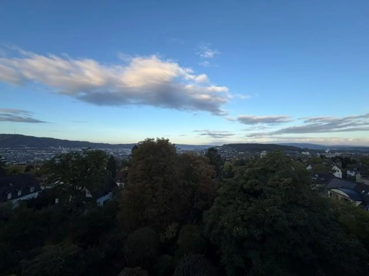 Living in the Green and Yet Central - Photo 8 of 8