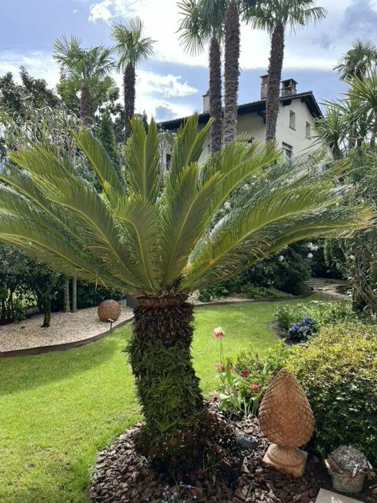 Elegant 2.5-room apartment with private garden in exclusive location - Photo 8 of 11