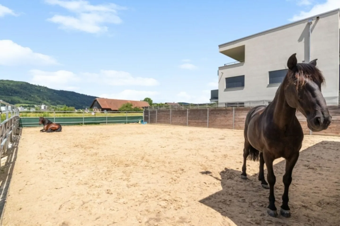 EQUITAZIONE, IMMOBILE RESIDENZIALE E COMMERCIALE CON DIVERSE POSSIBILITÀ D'USO - Foto 3 di 20