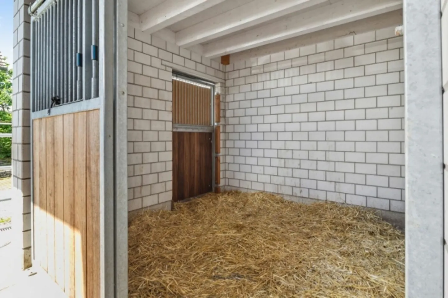 EQUITAZIONE, IMMOBILE RESIDENZIALE E COMMERCIALE CON DIVERSE POSSIBILITÀ D'USO - Foto 5 di 20