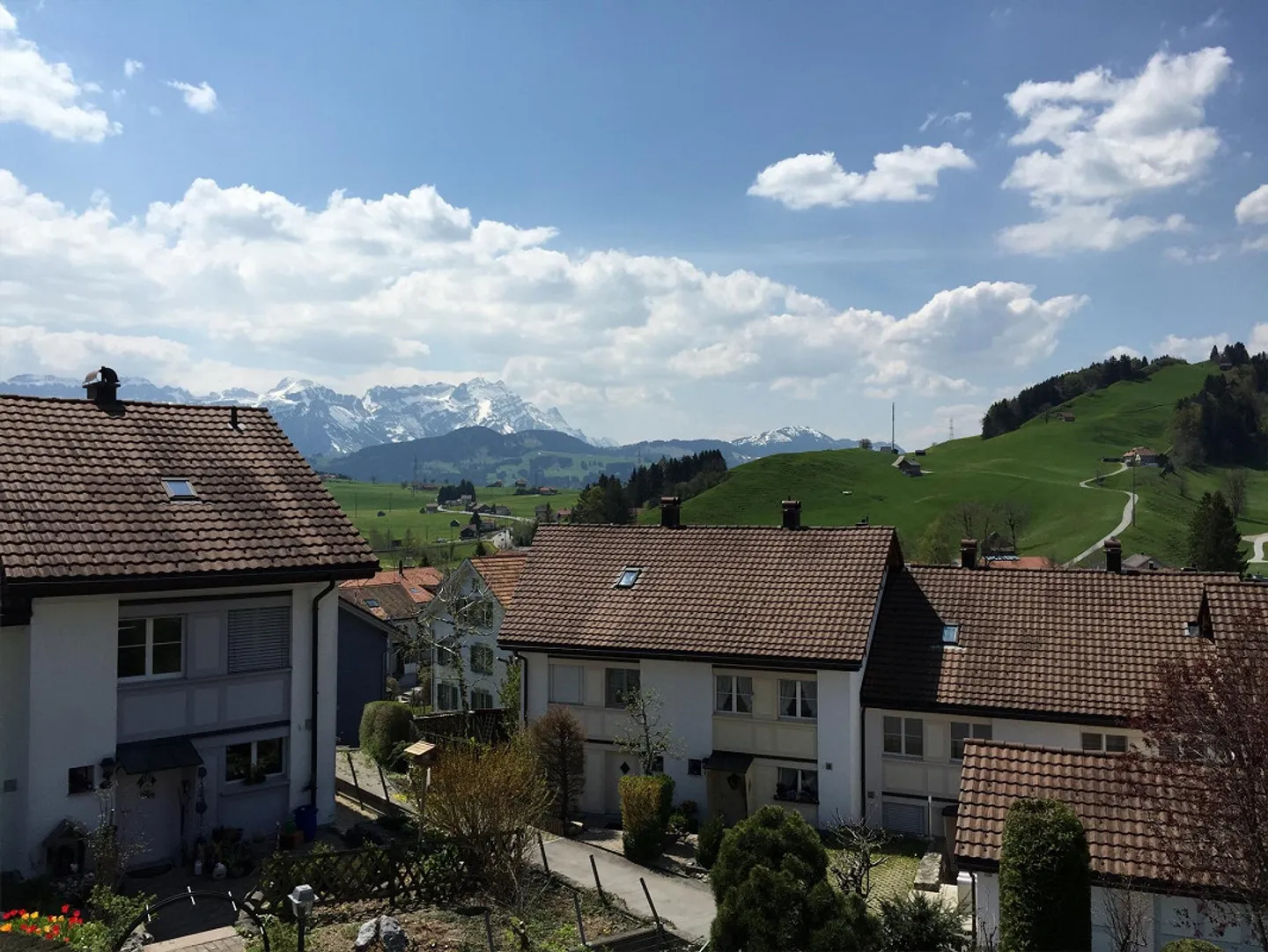 Una strada di quartiere tranquilla - Foto 1 di 13