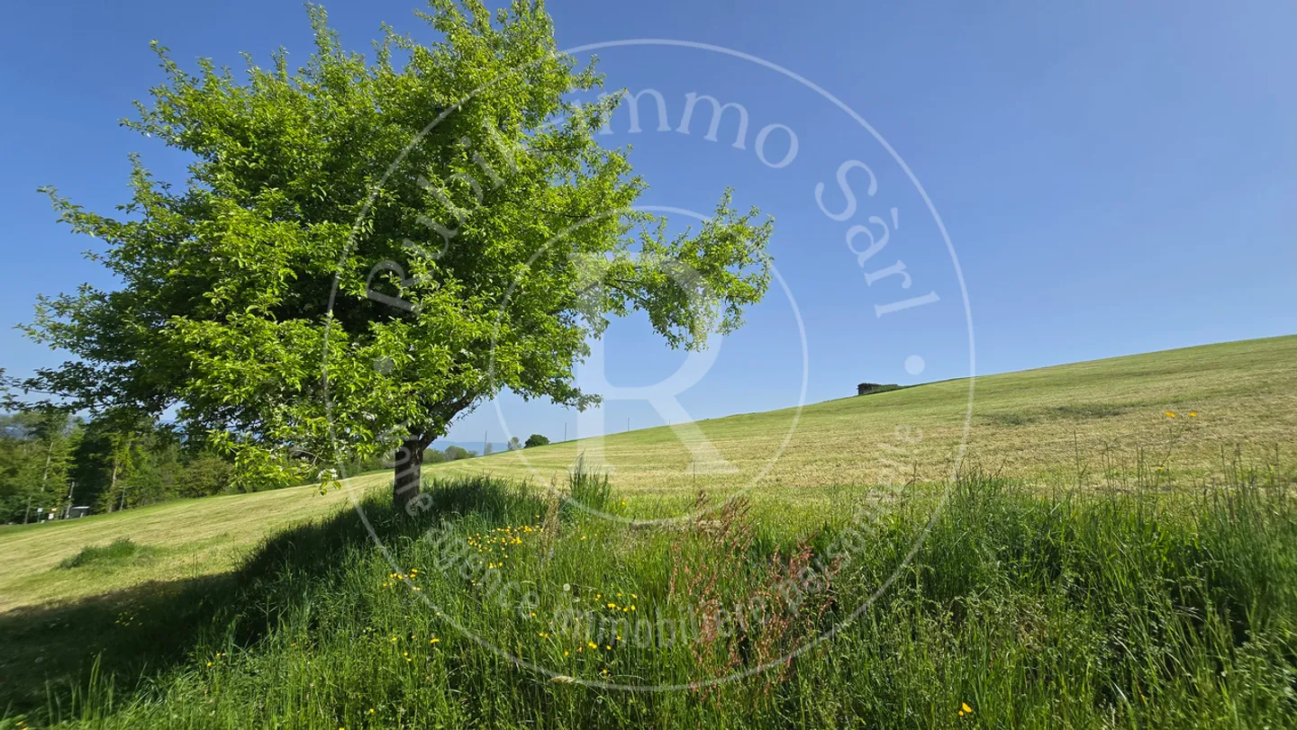 Belle ferme avec potentiel - Photo 14 sur 14