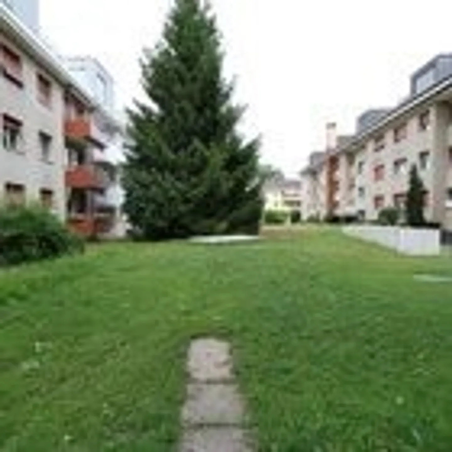 Luminoso appartamento di 2,5 stanze nel verde, vicino alla città e tranquillo a Zurigo - Foto 1 di 6