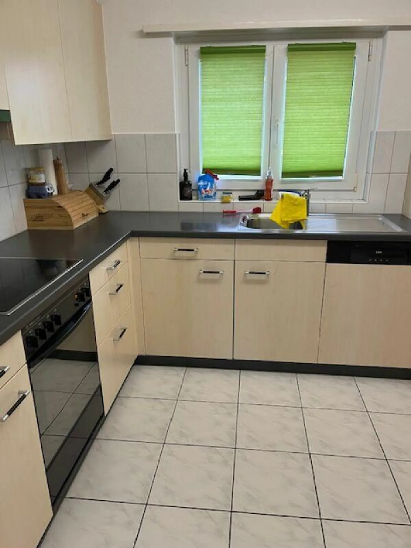 Your new home with a view of the Säntis! - Photo 2 of 5