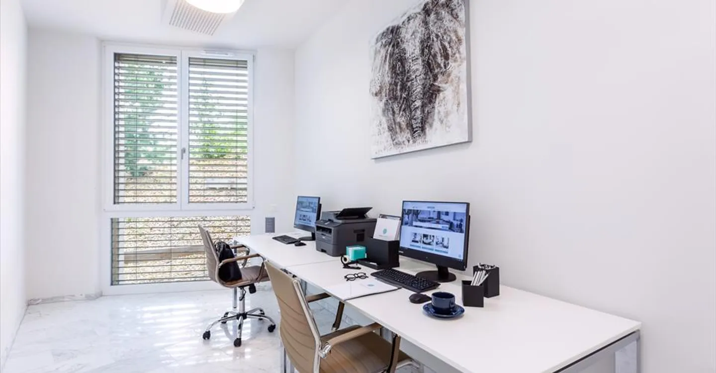 Shared Office Near Lake Geneva - Photo 1 of 1