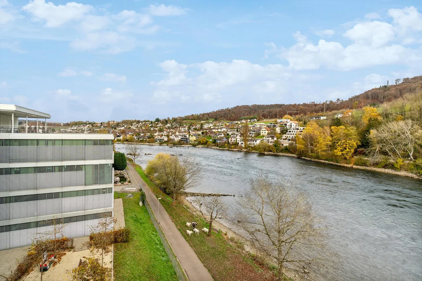 Spazi per uffici rappresentativi con vista da sogno sul Reno e accesso diretto al verde - Foto 7 di 9