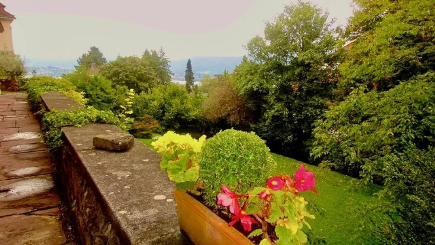 Luxurious Dream Home with Lake View - Photo 17 of 20