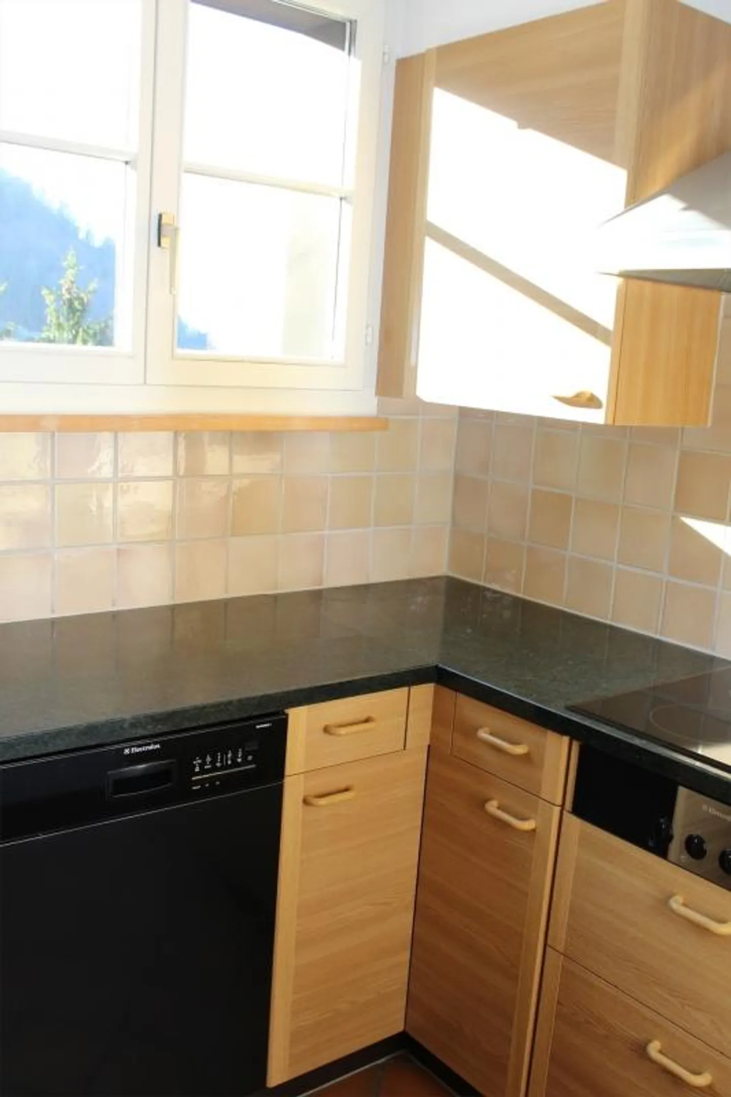 Beautiful 4.5-room penthouse with stunning views - Photo 9 of 15