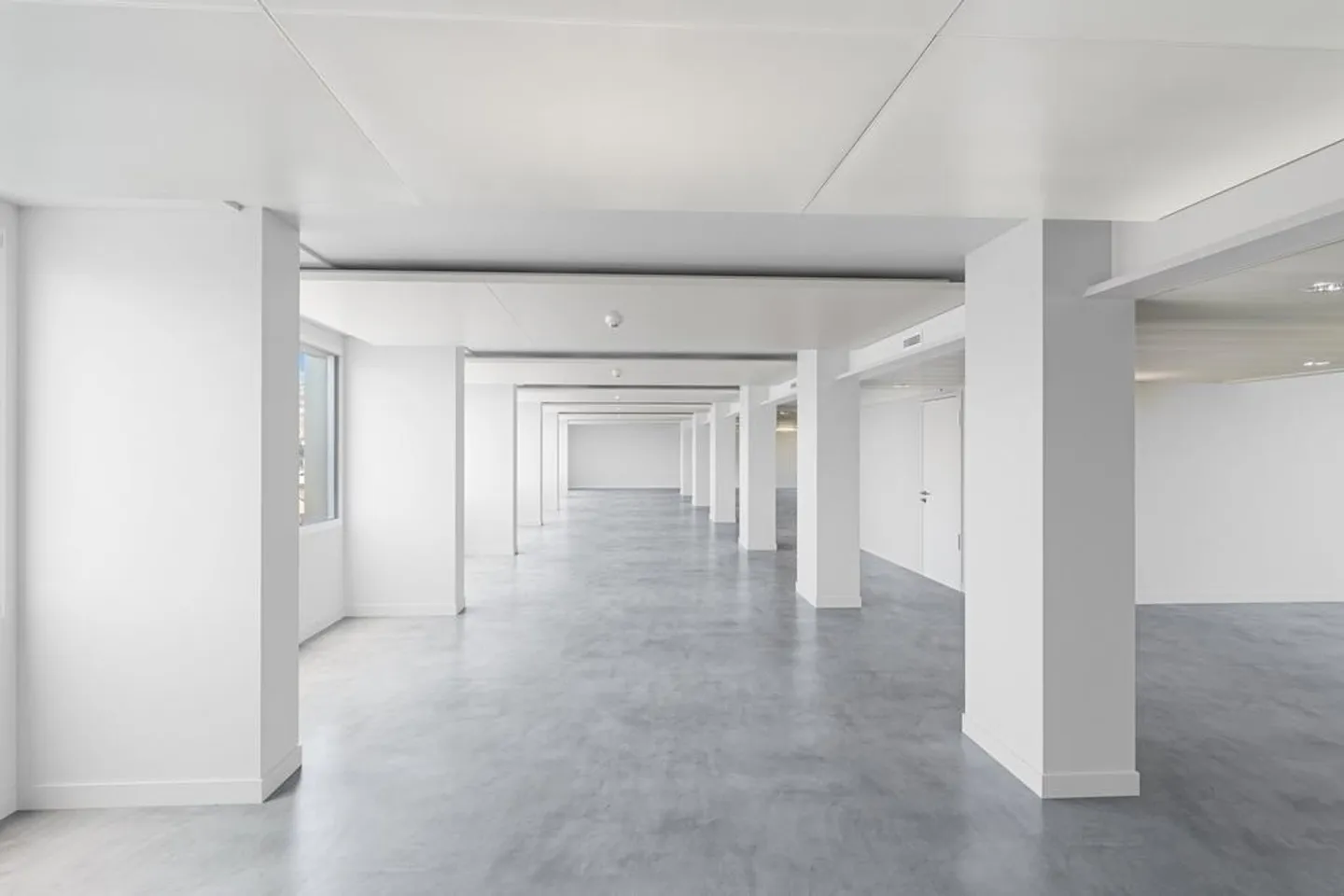 Opportunité exceptionnelle 9'500 m2 de surfaces aménagées - Photo 7 sur 12