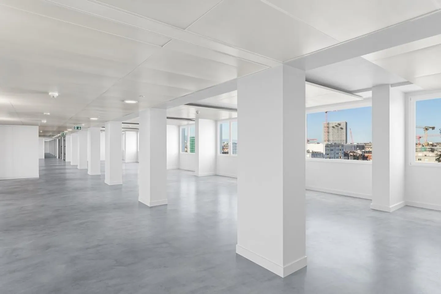 Opportunité exceptionnelle 9'500 m2 de surfaces aménagées - Photo 5 sur 12