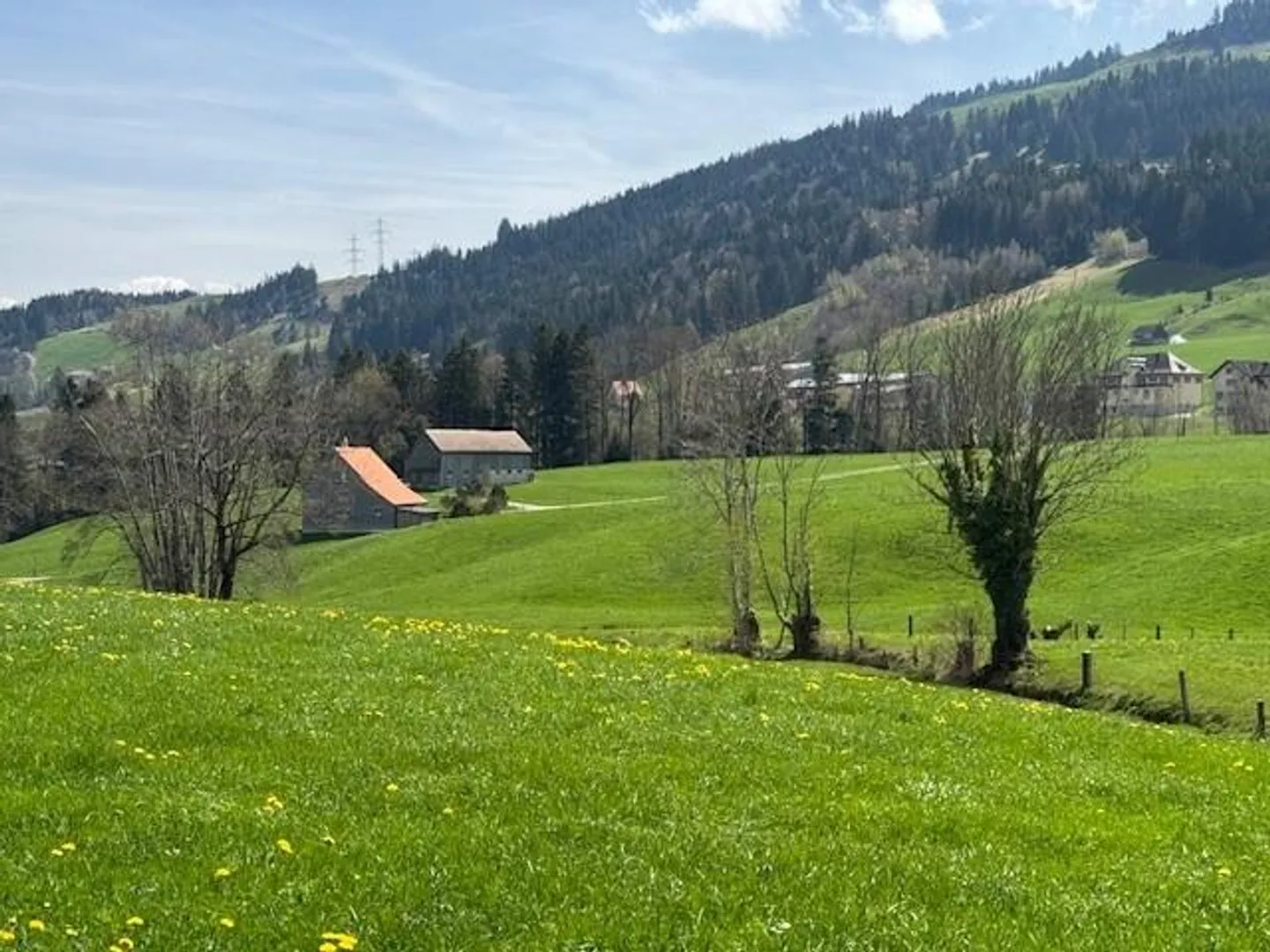 Detached Single-Family House with a View - Photo 4 of 21