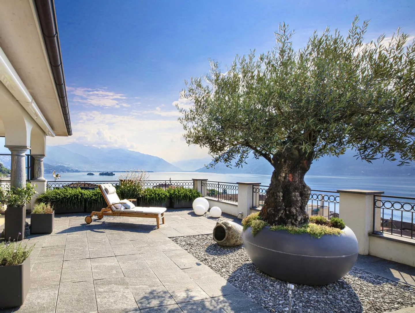 Der Edle - Foto 1 von 8