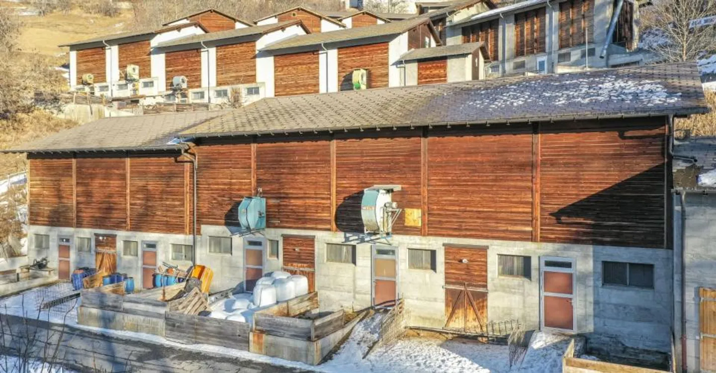 Étable, Grange et Garage dans un Bel Emplacement - Photo 1 sur 10
