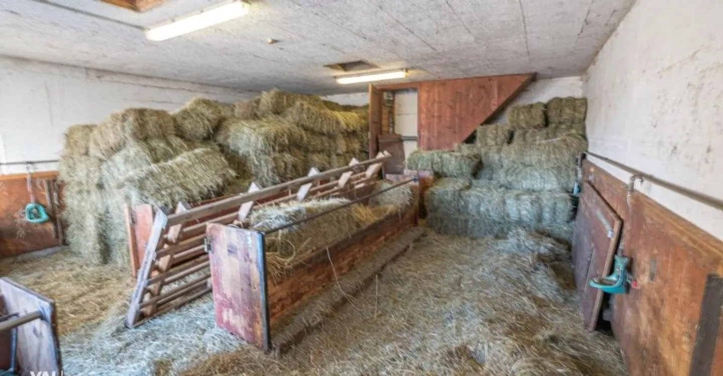 Étable, Grange et Garage dans un Bel Emplacement - Photo 4 sur 10
