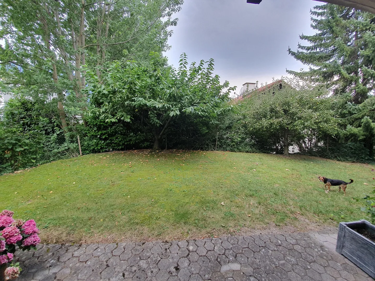 grosszügiges Einfamilienhaus an sonniger, ruhiger Lage - Foto 24 von 27