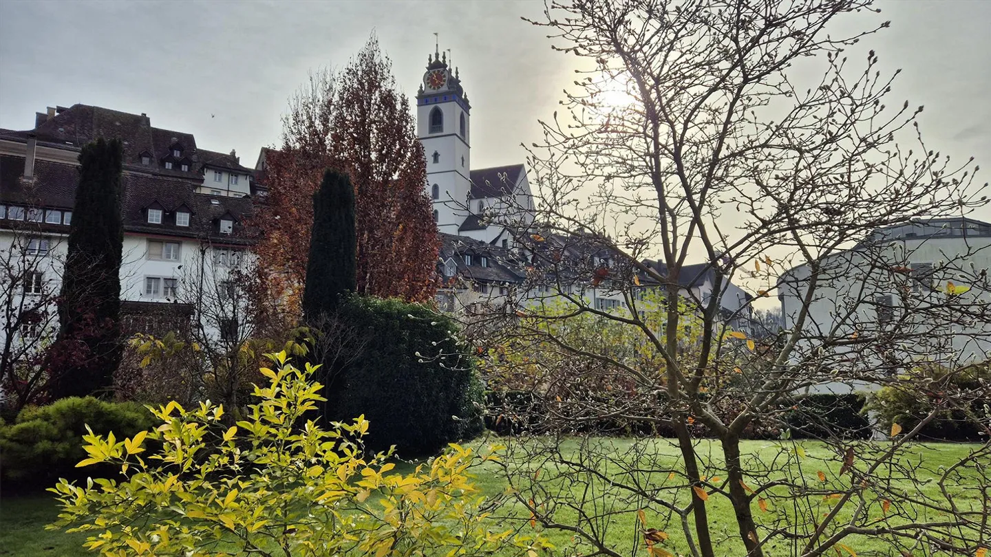 Garden apartment directly at the old town ring Aarau - Photo 1 of 16
