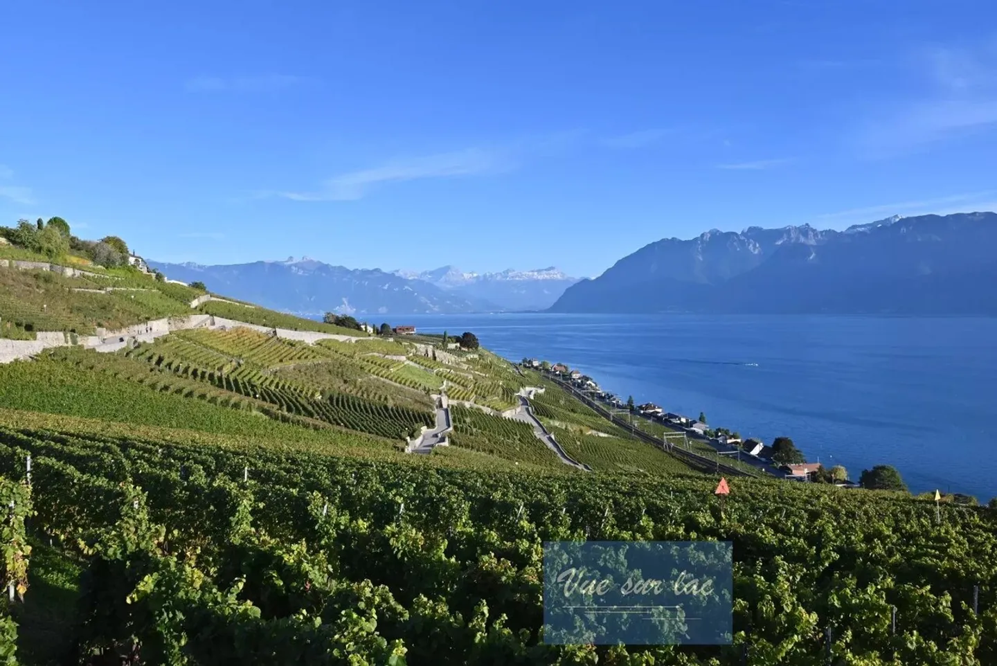 Appartamenti nuovi, vista panoramica sul lago! - Foto 8 di 11