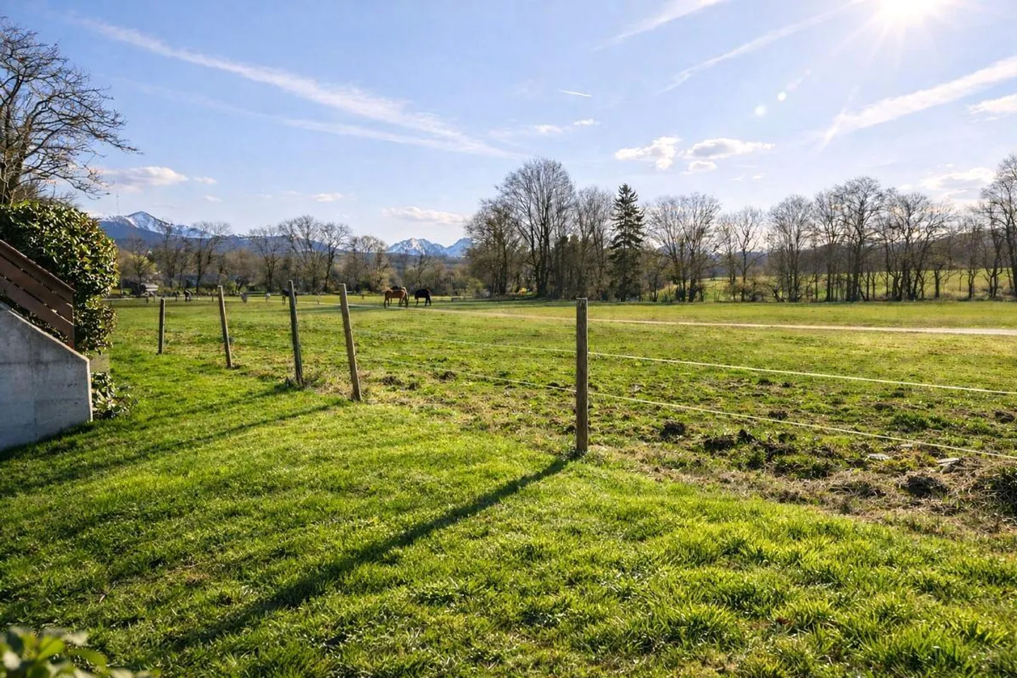 4.5-Zimmer-Wohnung mit atemberaubendem Blick auf die Natur! - Foto 5 von 13