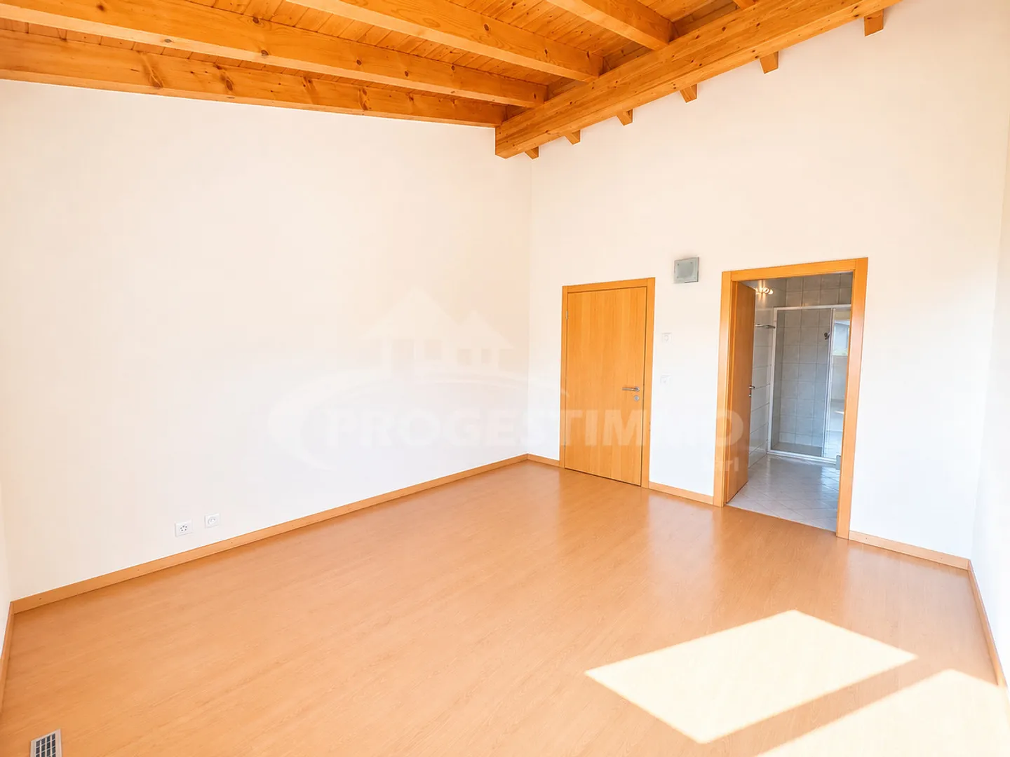 Exceptional Penthouse with Panoramic View of the Alps - Photo 6 of 11