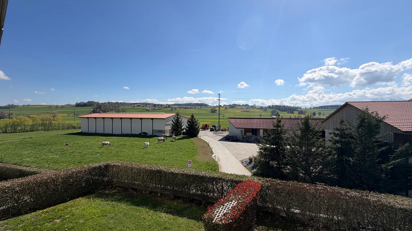 Charmante Wohnung in Romont - Foto 5 von 6