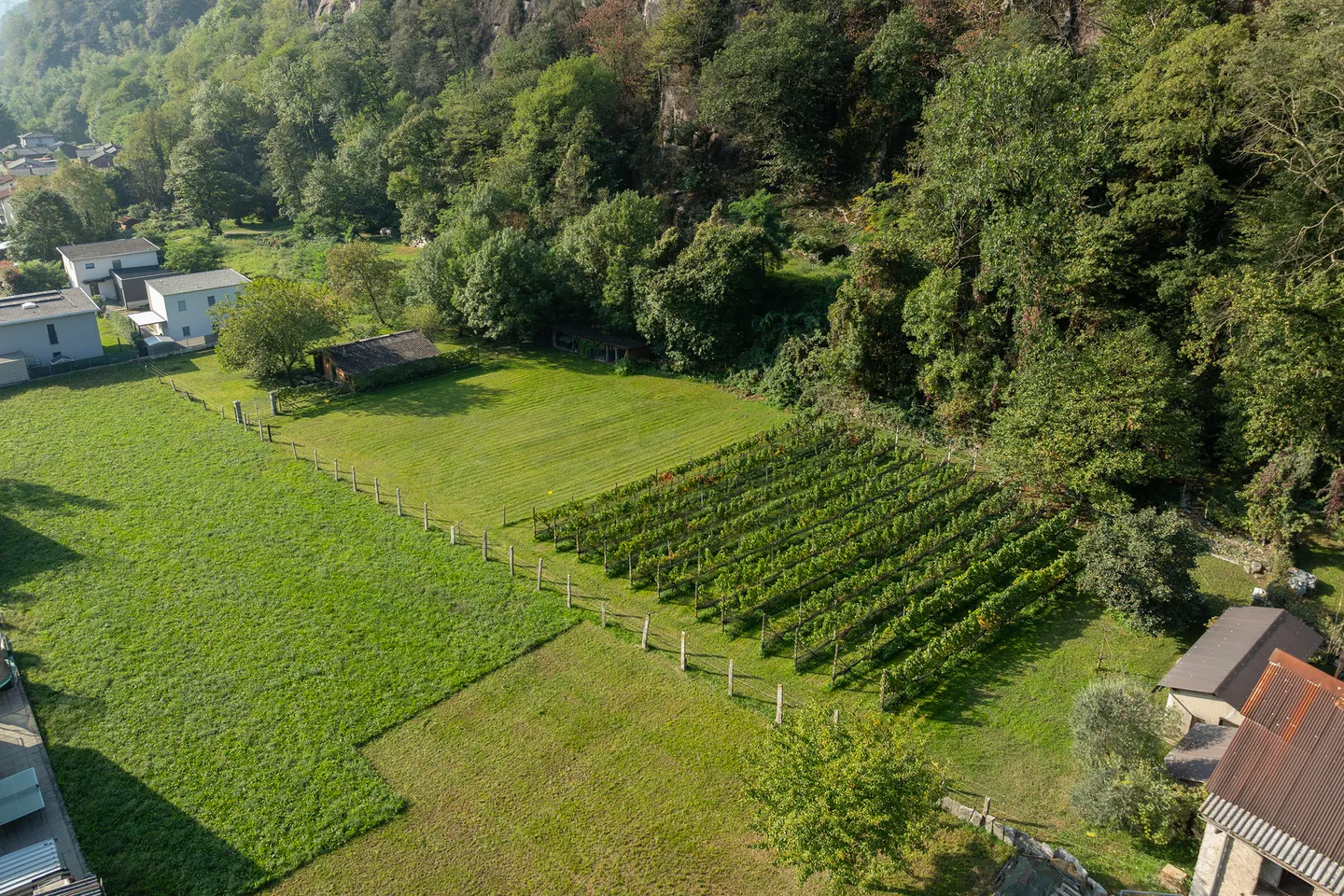 Flat land with great building potential - Photo 4 of 5
