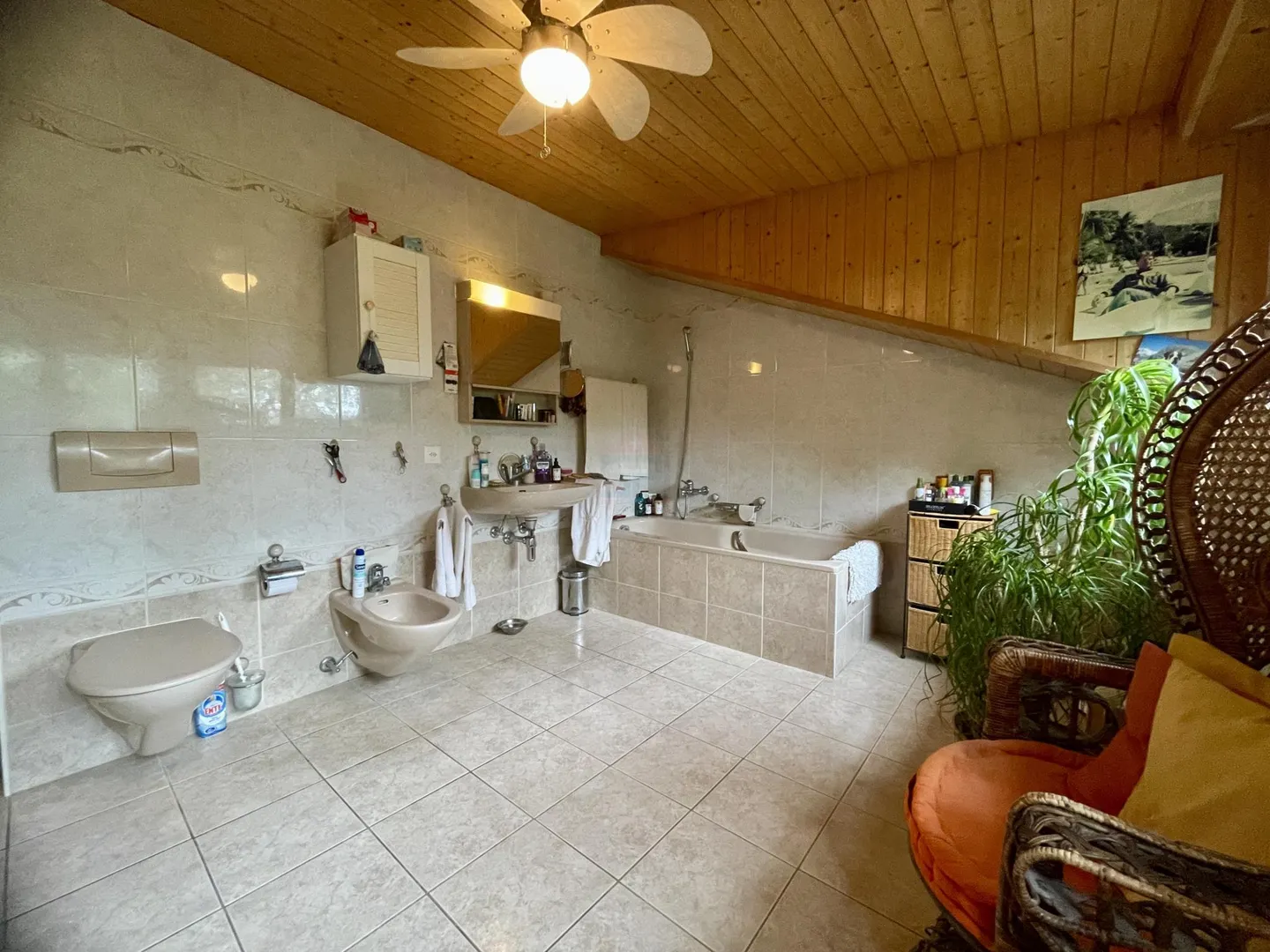 Casa 5 locali da ristrutturare su terreno agricolo di 5446m2 - Foto 8 di 9