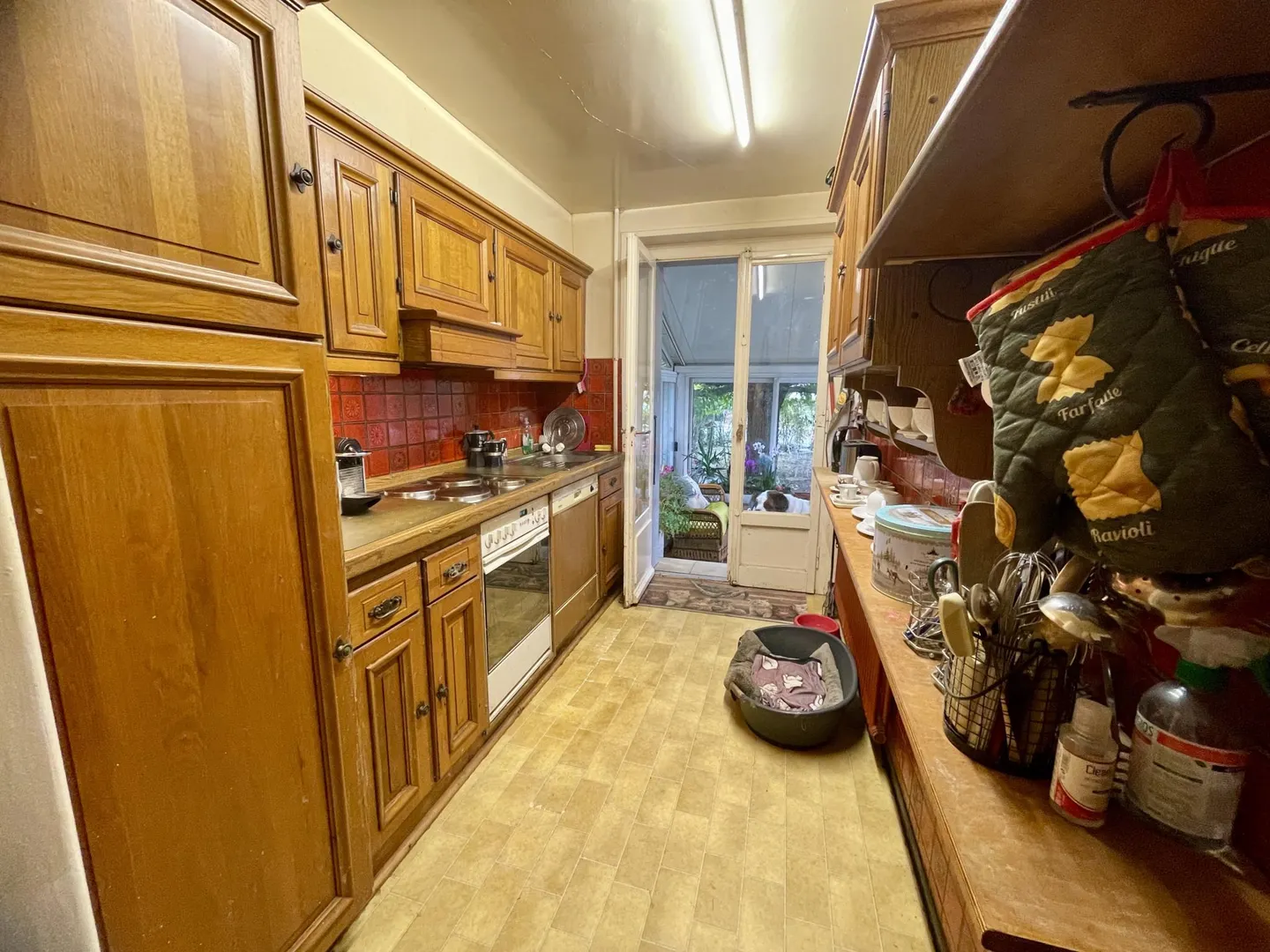 Casa 5 locali da ristrutturare su terreno agricolo di 5446m2 - Foto 9 di 9
