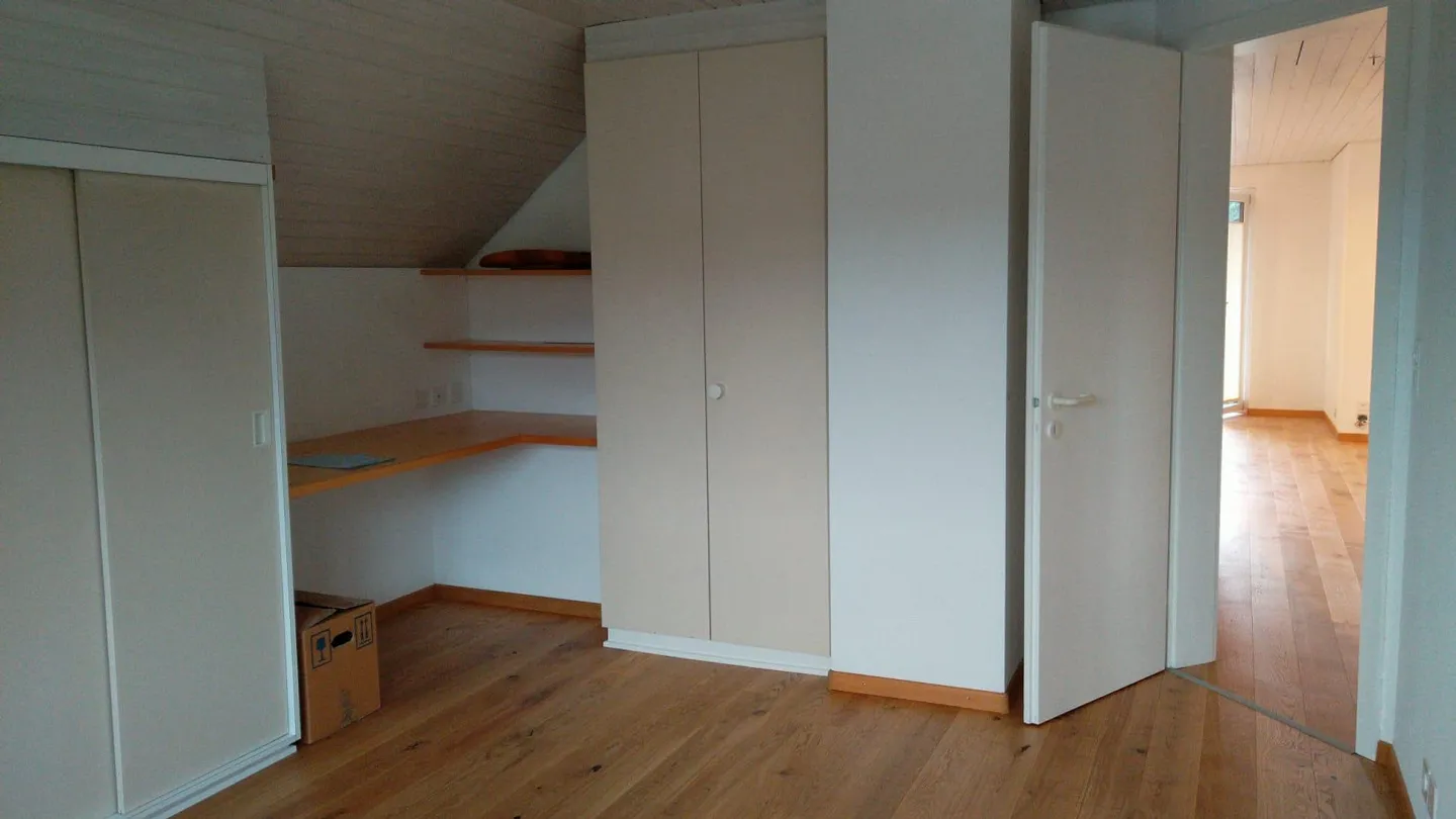 Prima occupazione dopo ristrutturazione: Appartamento mansardato a Niederdorf - Foto 6 di 14