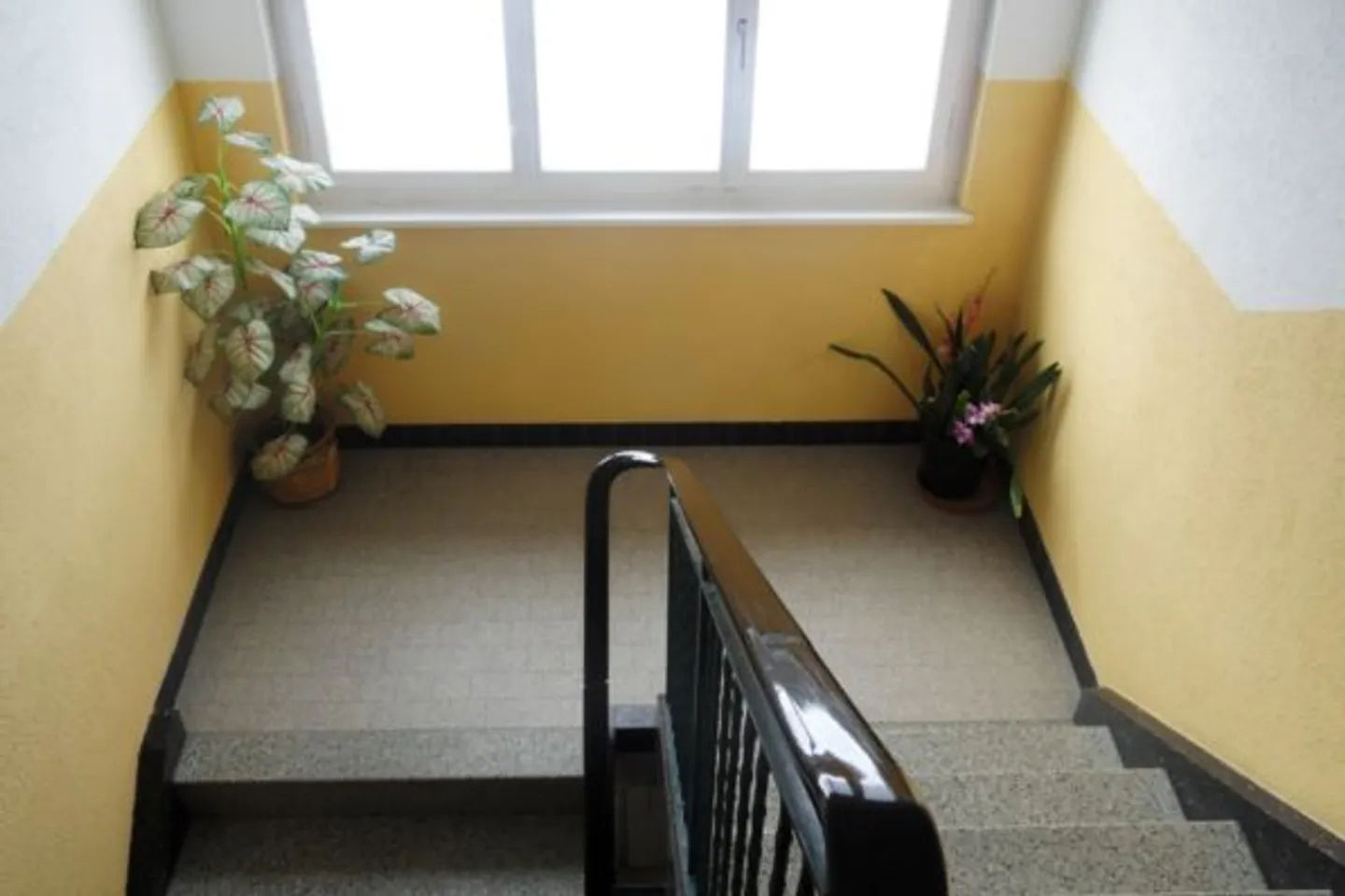 Charming 3.5-Room Apartment - Photo 2 of 7