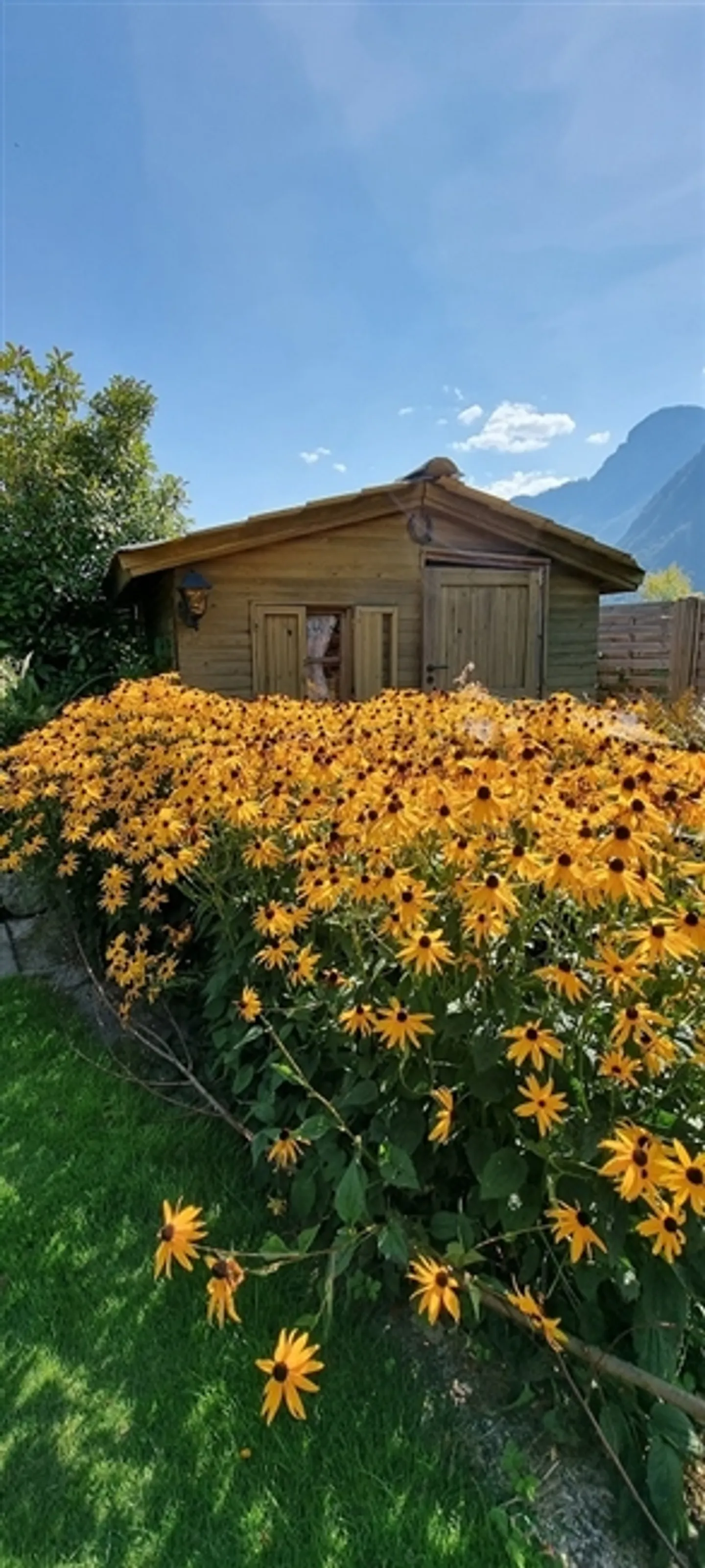 «8.5 Zimmer Villa zu verkaufen in Le Bouveret» - Foto 16 von 18