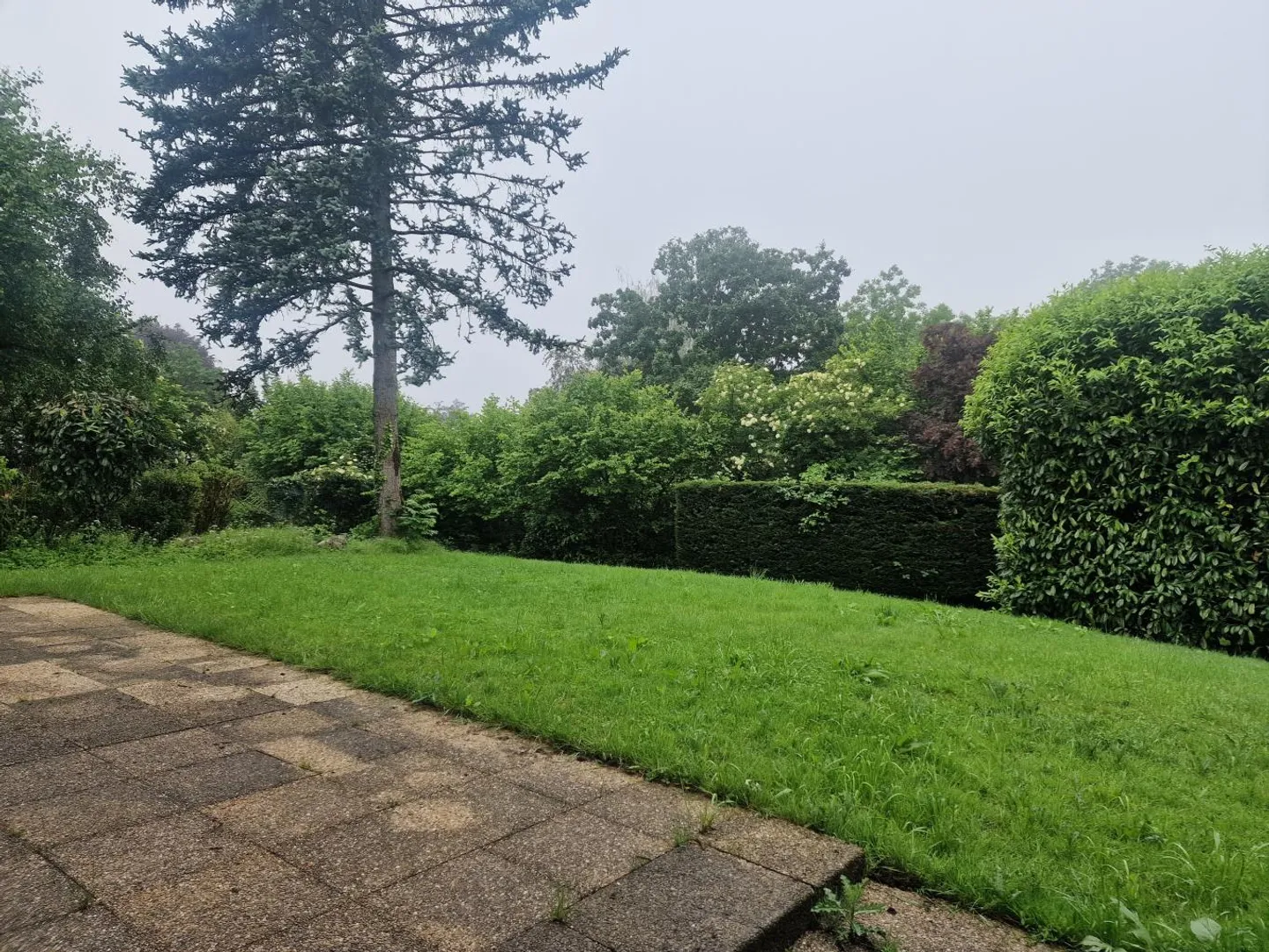 Maison jumelée 5.5 pièces - Photo 2 sur 14