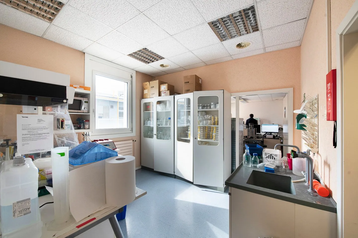 Gewerbeflächen in Plan-les-Ouates - Foto 3 von 13