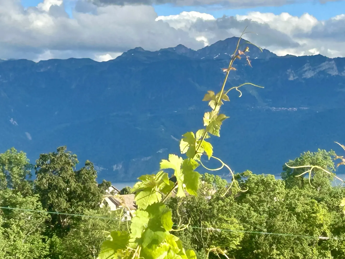 Modernes Apartment mit Seeblick - Foto 1 von 9