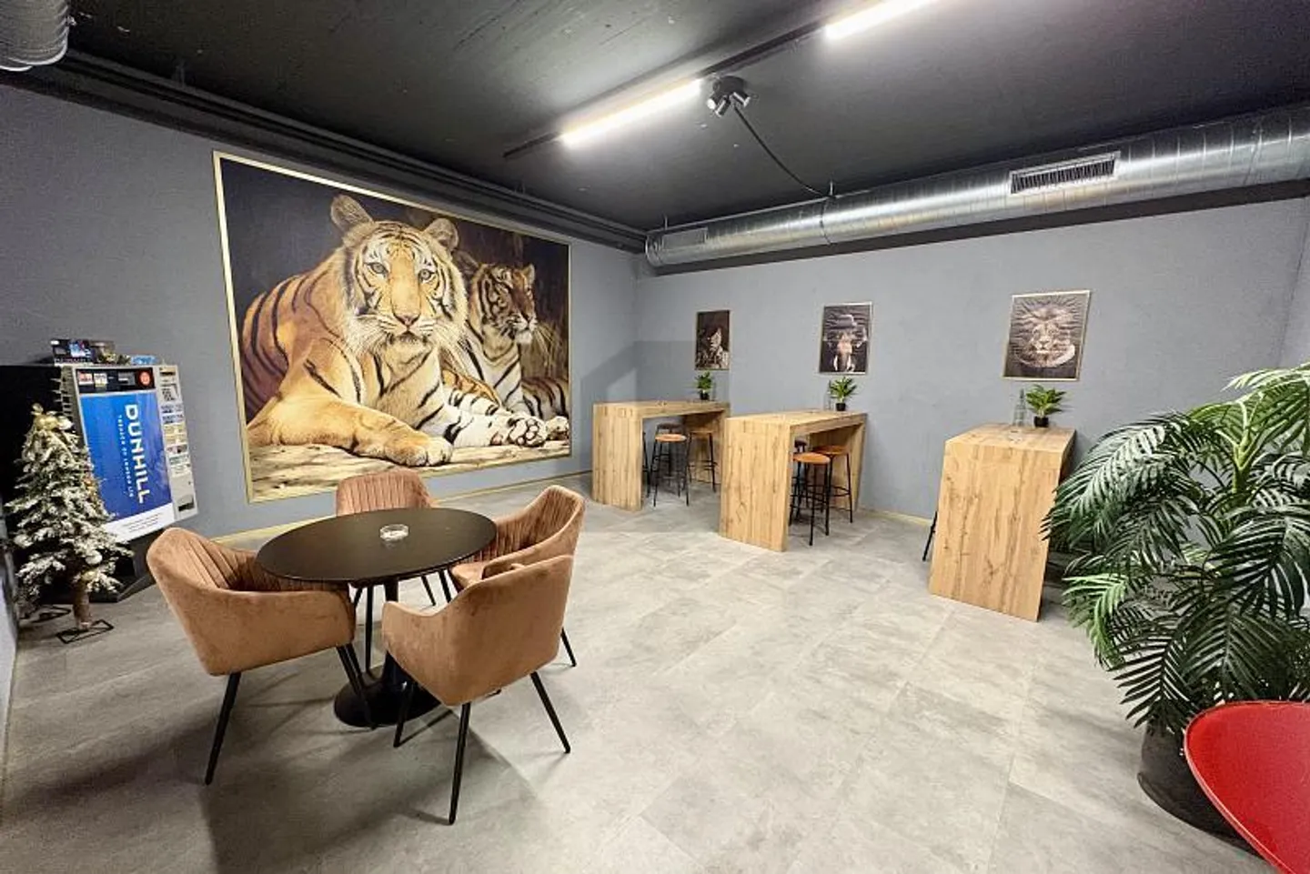 AREA SPAZIOSA E ATTRATTIVA - Foto 2 di 6