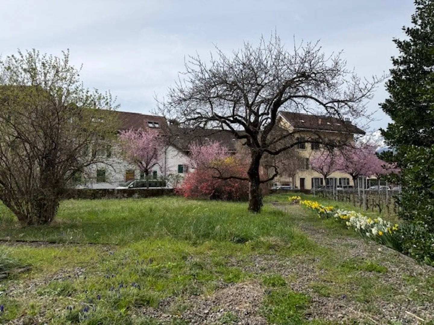 9-room House - Photo 2 of 4