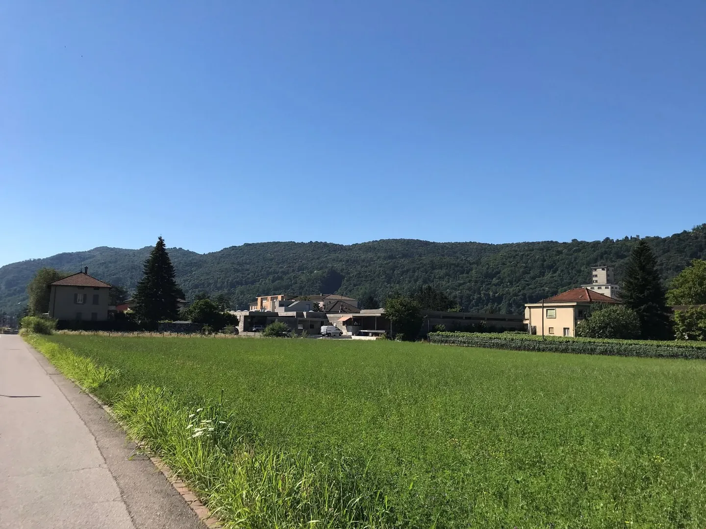 Buildable land with easy access - Photo 3 of 17