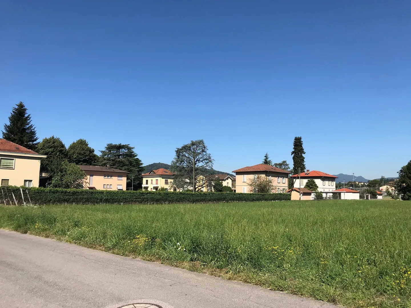 Buildable land with easy access - Photo 5 of 17