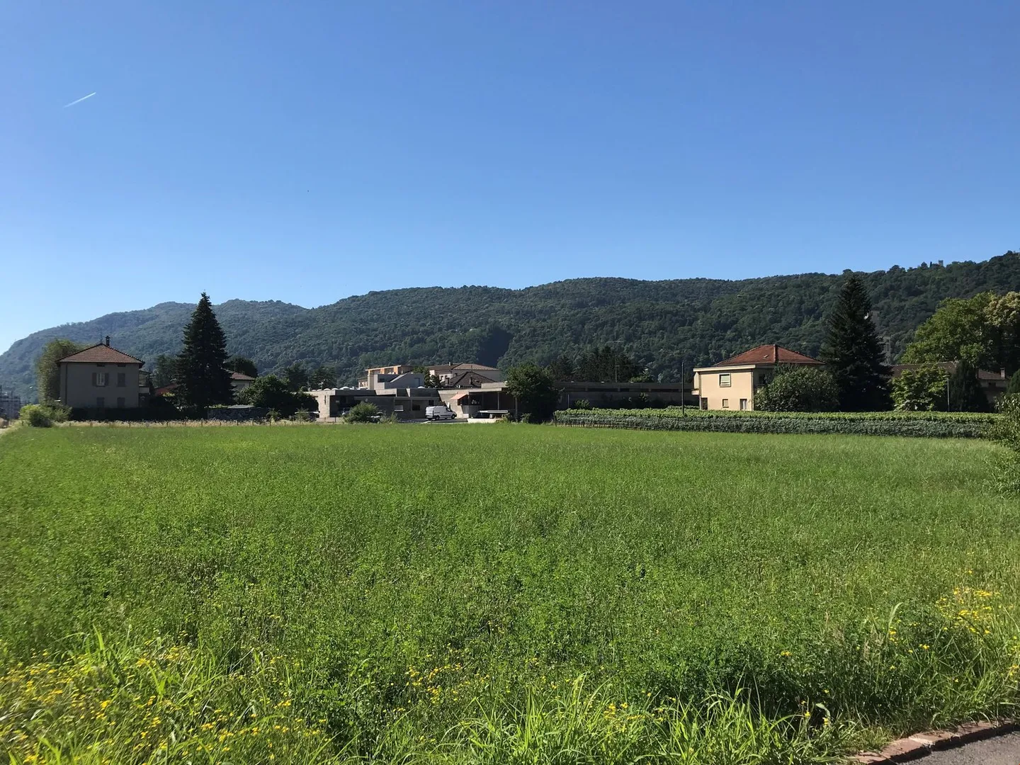 Buildable land with easy access - Photo 10 of 17