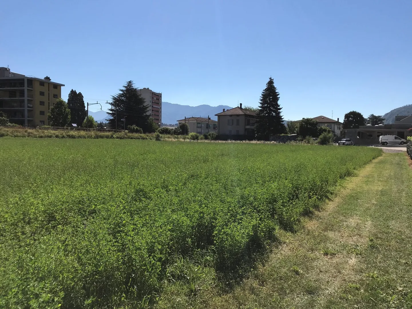 Buildable land with easy access - Photo 11 of 17