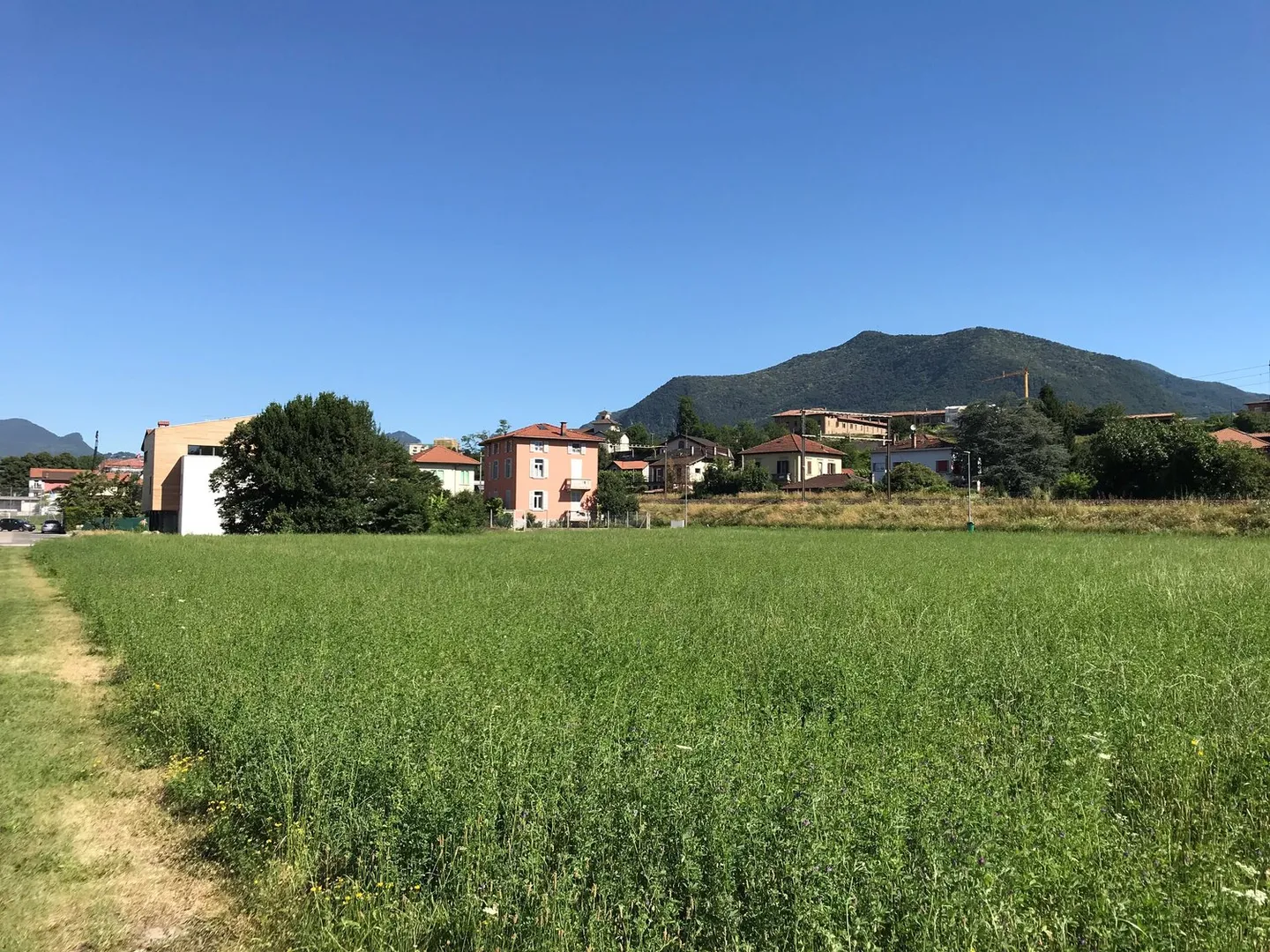 Buildable land with easy access - Photo 12 of 17