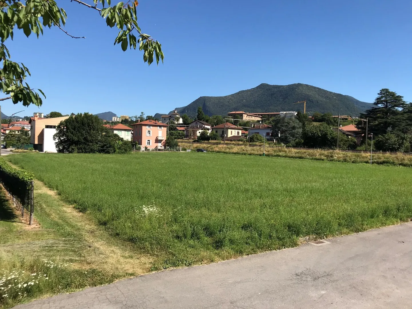 Buildable land with easy access - Photo 13 of 17